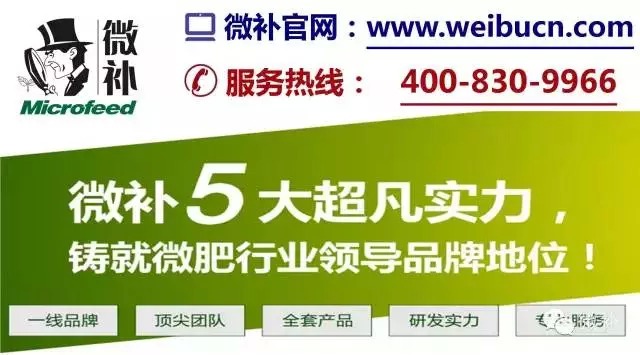 余教授奧地利鄉(xiāng)村行：萬(wàn)科為什么說(shuō)把奧地利小鎮(zhèn)搬回來(lái)？