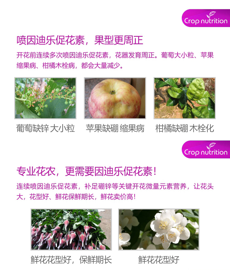 因迪樂(lè)有機(jī)促花素_05.jpg