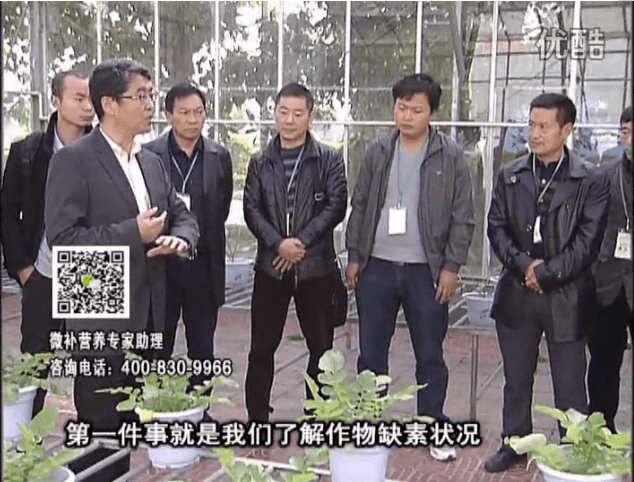 20160418珠江臺搖錢樹：和重慶種植業(yè)主走進微補，探秘微補生產(chǎn)研發(fā)技術